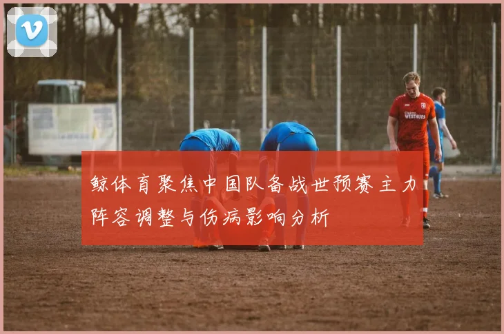 鲸体育聚焦中国队备战世预赛主力阵容调整与伤病影响分析