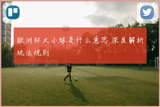 欧洲杯大小球是什么意思 深度解析玩法规则