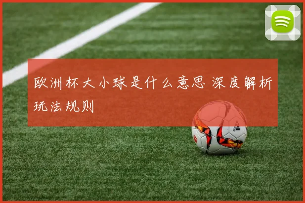 欧洲杯大小球是什么意思 深度解析玩法规则