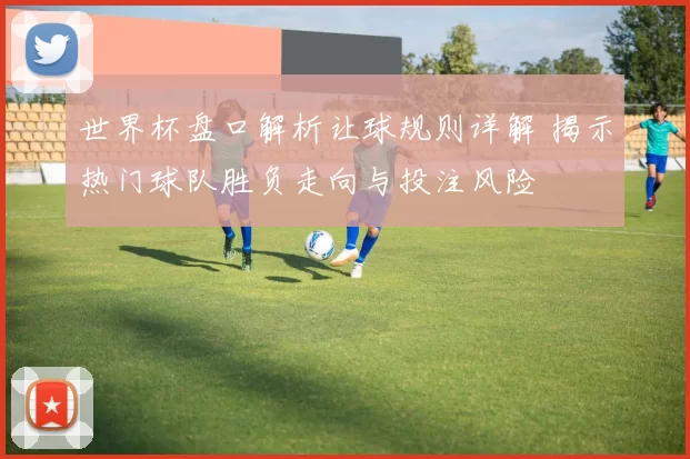 世界杯盘口解析让球规则详解 揭示热门球队胜负走向与投注风险
