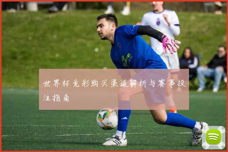 世界杯竞彩购买渠道解析与赛事投注指南