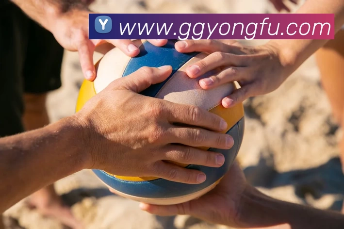 多媒体互动体验